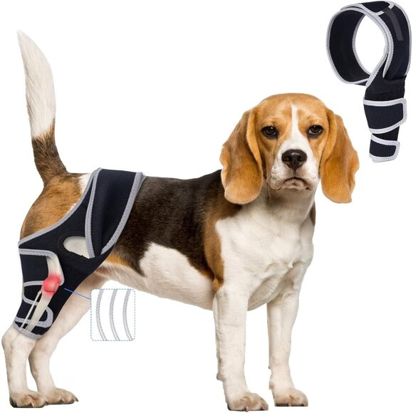 Torn ACL Knee Brace for Dogs Adjustable Rear Leg or Front Legs with Cruciate Lig - Picture 1 of 6